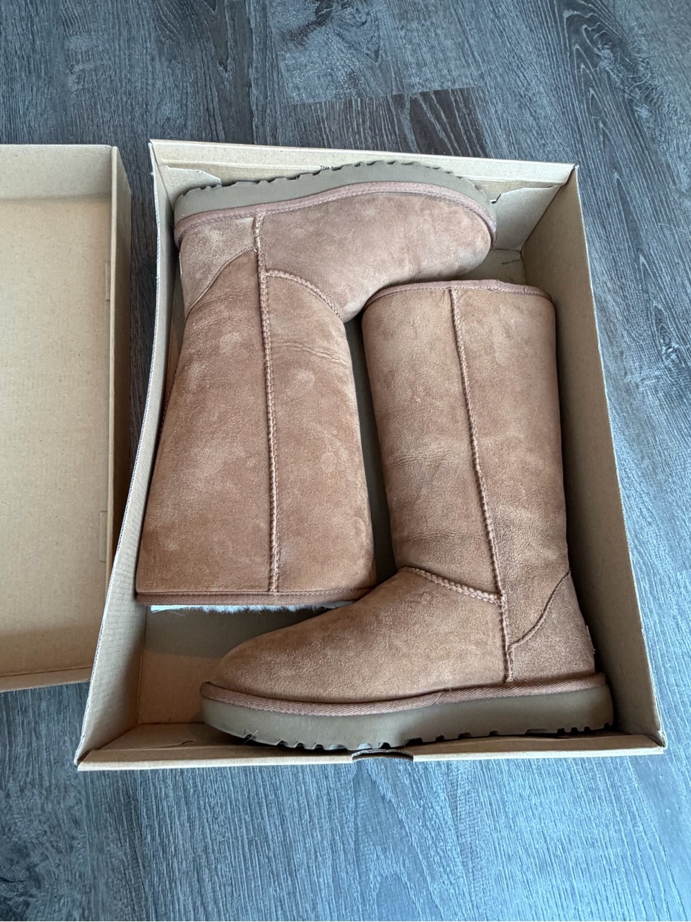 UGG Classic Tall Suede Winter Boots in Chestnut Brown